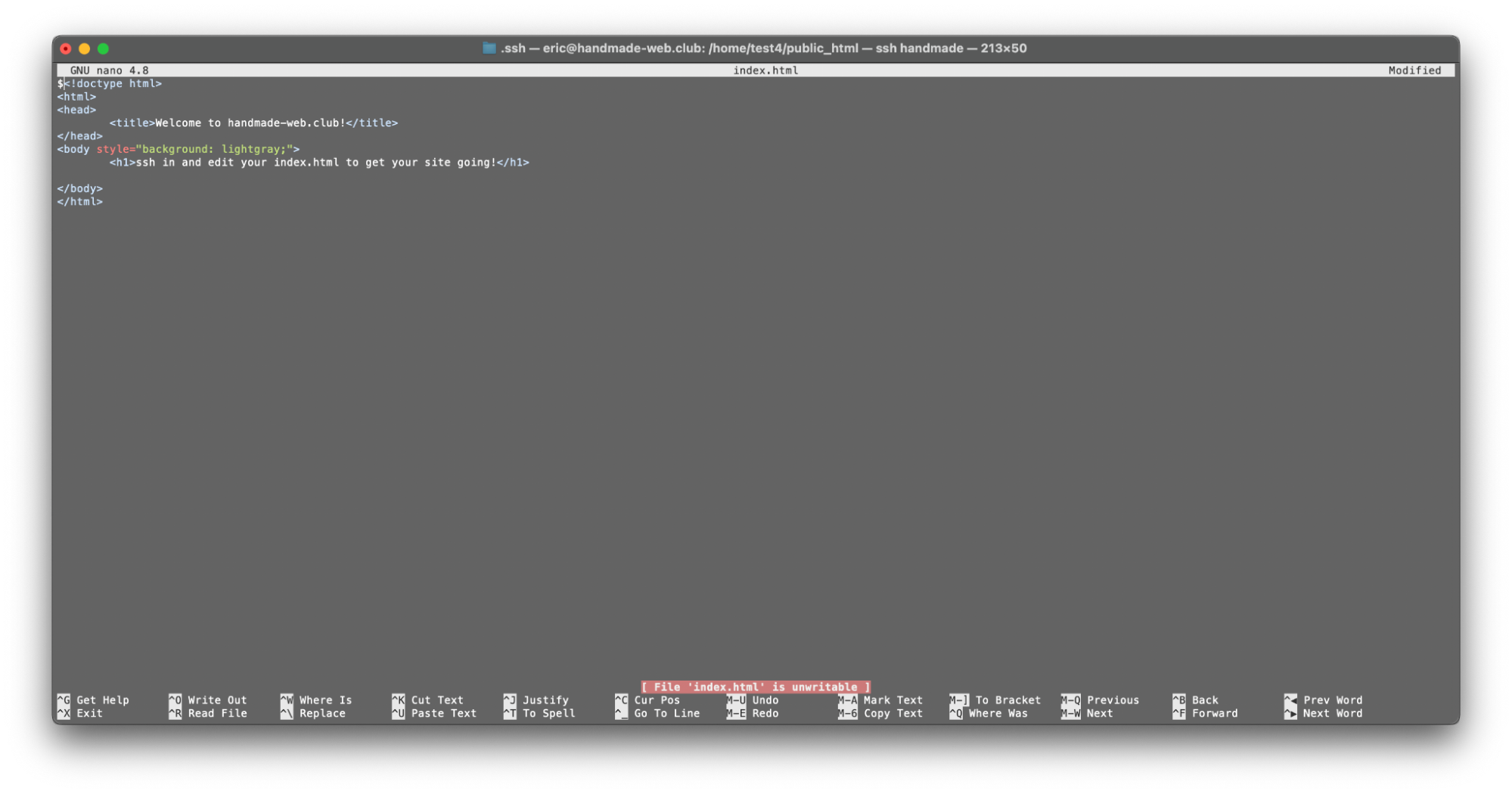 an image displaying nano from within a terminal