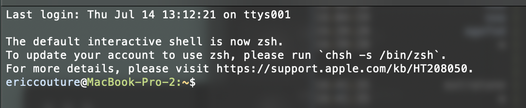 an empty terminal window