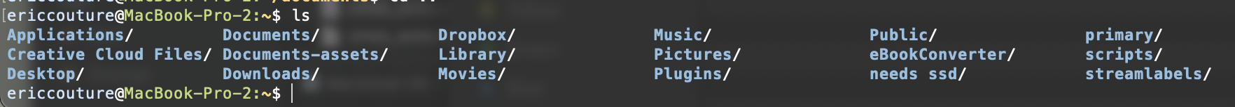 an image of a terminal displaying a list of files after entering an ls command